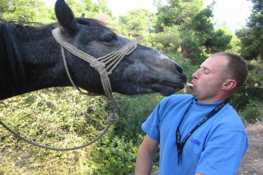 Mule Riding